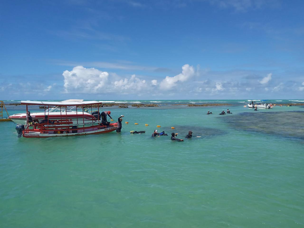 Pousada Ponta De Mangue Maragogi Eksteriør billede