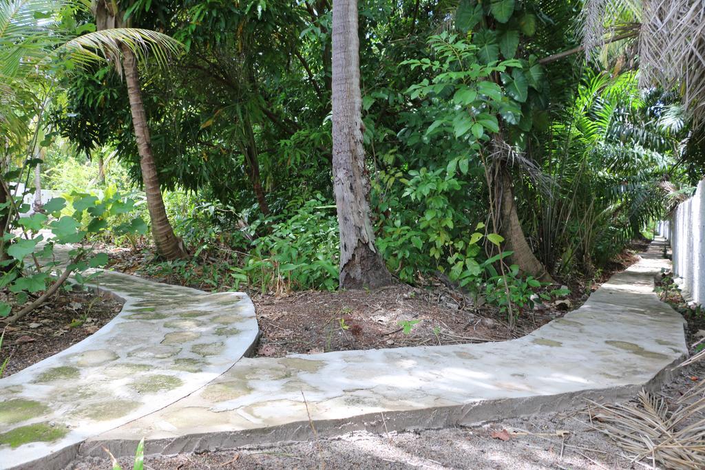 Pousada Ponta De Mangue Maragogi Eksteriør billede