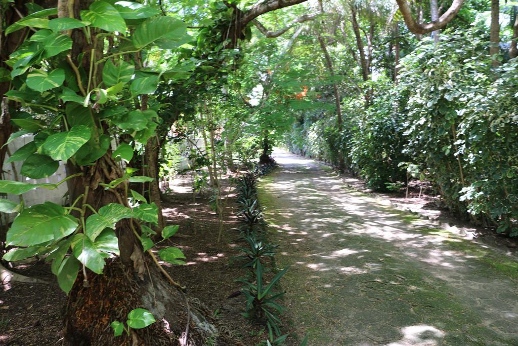 Pousada Ponta De Mangue Maragogi Eksteriør billede